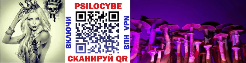 Галлюциногенные грибы мицелий  Купить где  Мончегорск 